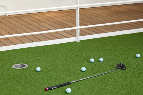 Golf Driving Nets and Putting Green